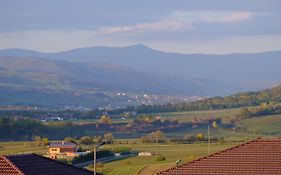 Rolling Hills Holiday Haven